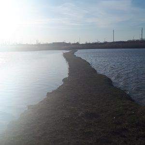 Meet your Posher, Andy